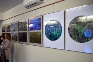 Wernisaż wystawy pt. „Struktury natury” dedykowanej Pawłowi Pierścińskiemu (09.05.2019)
