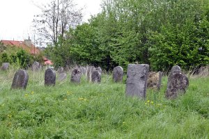 Wycieczka śladami Gustawa Herlinga-Grudzińskiego (16.05.2019)