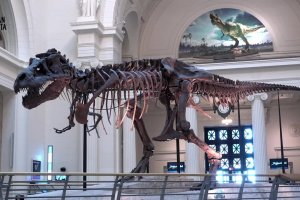 Spotkanie online z&nbsp;Panem Poetą (01.06.2020)