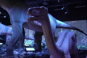 Spotkanie online z&nbsp;Panem Poetą (01.06.2020)