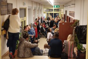 Na zdjęciu publiczność.