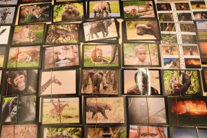 Na zdjęciu fotografie autora,