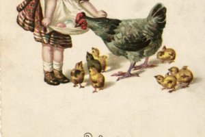 dziewczynka, kurczak i kurczęta